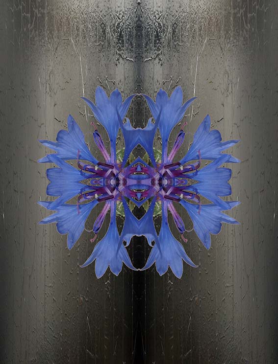 Artworks - Elizabeth de Monchaux